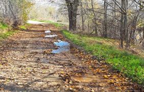 Ruta Senda ecológica Ruta Senda ecológica