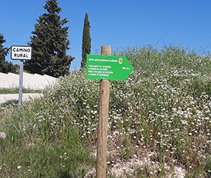 Ruta lucha contra el Cáncer Villamanrique de Tajo Ruta lucha contra el Cáncer Villamanrique de Tajo