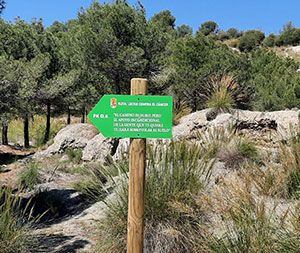 Ruta lucha contra el Cáncer Villamanrique de Tajo Ruta lucha contra el Cáncer Villamanrique de Tajo