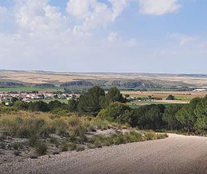 Ruta lucha contra el Cáncer Villamanrique de Tajo Ruta lucha contra el Cáncer Villamanrique de Tajo